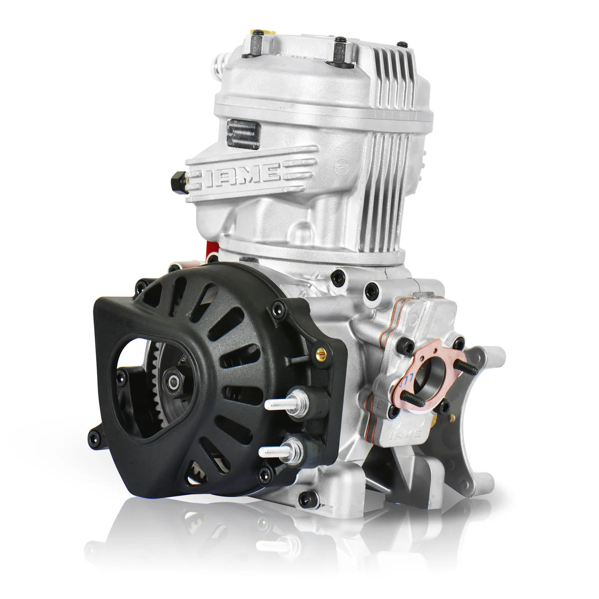 IAME X30 Complete Engine